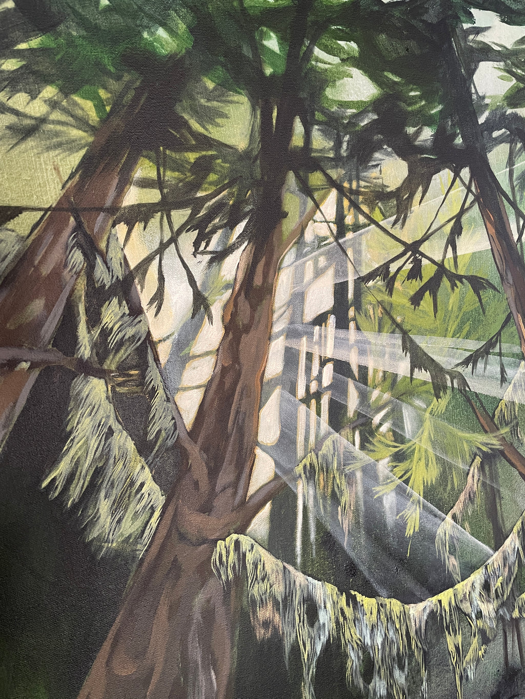 Forest Through The Trees