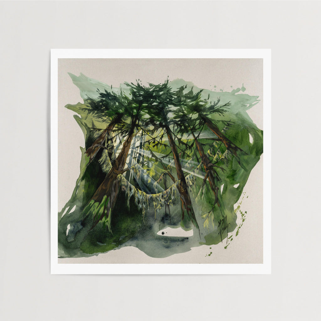 Forest Through The Trees