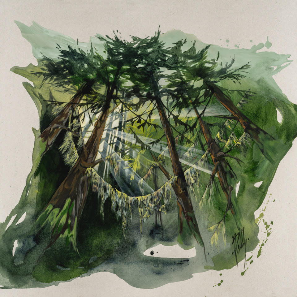 Forest Through The Trees